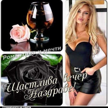 Къща За Гости "Черната Роза" Bŭlgarevo Exterior foto